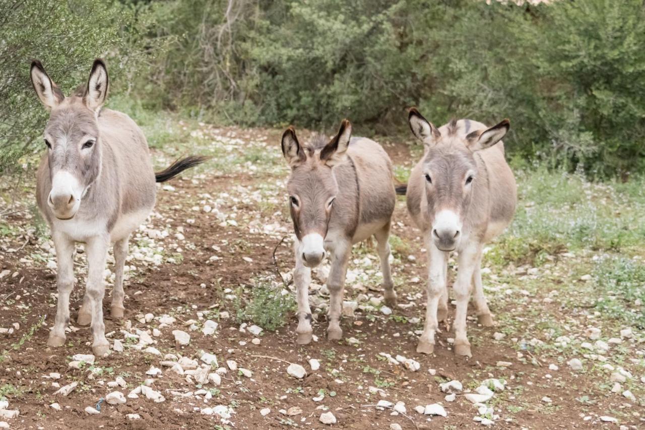 Roulottes Et Cabanes De Saint Cerice Vogue Εξωτερικό φωτογραφία